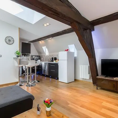 Loft élégant Climatisé, Centre-ville Terreaux * Lione